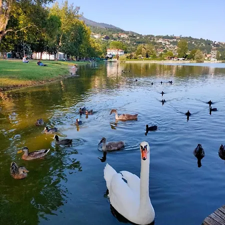 I Quattro Laghi Casa Delle Stelle 3* Brebbia